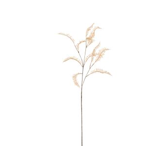 Dekorativna veja FERN